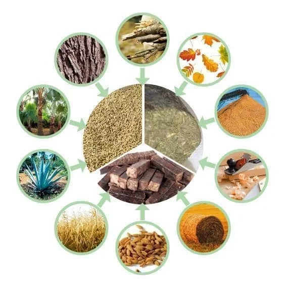 Materias primas para pirólisis de biomasa