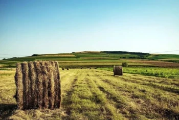 バイオマス熱分解は増大するエネルギー需要にどのように対応できるか