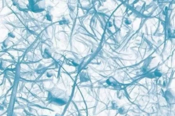 PECVD 炉 ソフトマター向けの低電力および低温ソリューション