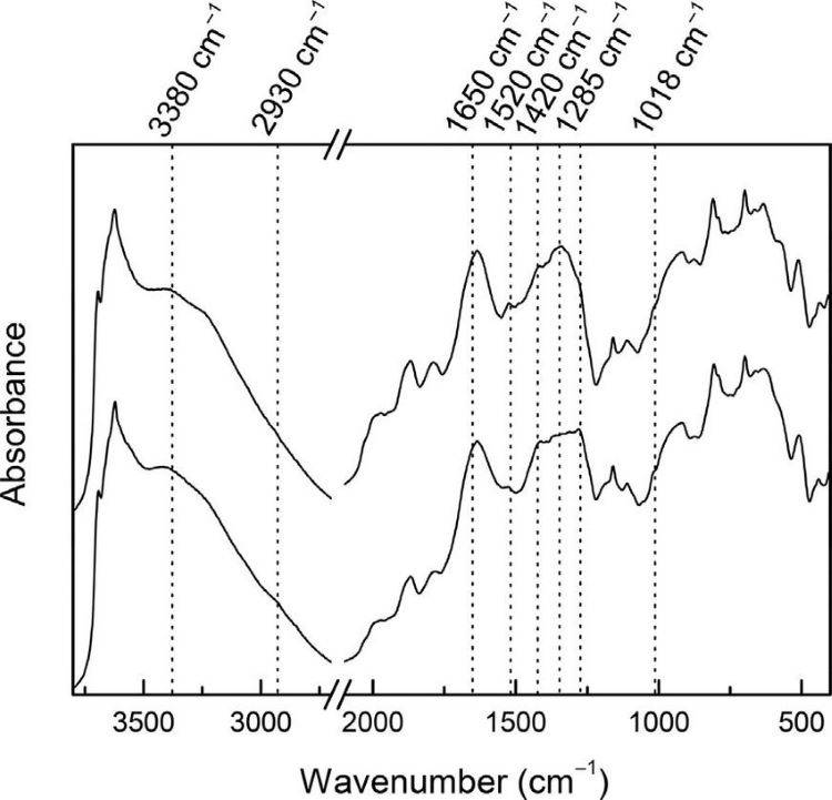 Spettroscopia di fluorescenza a raggi X (XRF)
