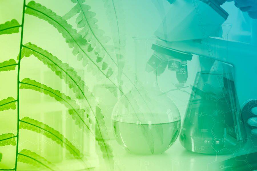 bioquímica