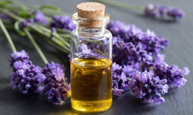 Perfumes y aceites esenciales.