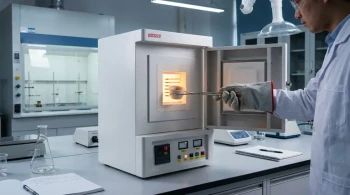 فرن الصندوق مقابل فرن الكتم: هل تستخدم الأداة الخاطئة للمهمة؟