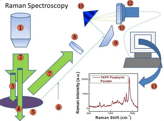 Spectral sample preparation steps(1.Objective 2.Excitation Light(Monochromatic) 3.Absorbed 4.Transmitted 5.Sample 6.Inelastic Scattered Light 7.Elastic Scattered Light 8.Notch Filter 9.Mirror 10.Grating 11.CCD 12.Amplifier 13.Software)