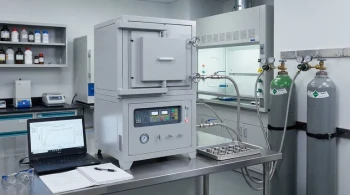 The Paradox of the Empty Chamber: When a Perfect Vacuum is the Enemy