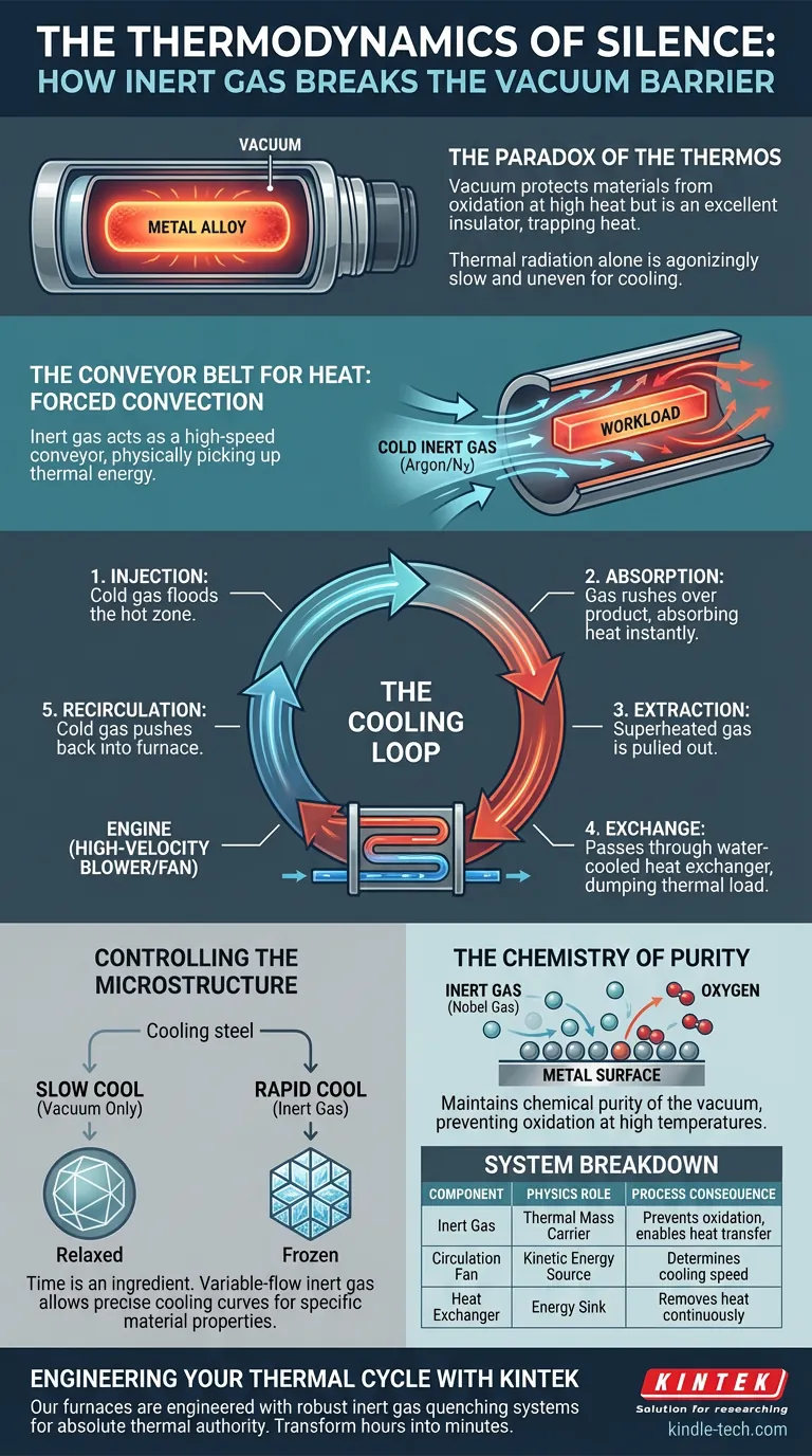 寂静的热力学：惰性气体如何打破真空屏障 图解指南
