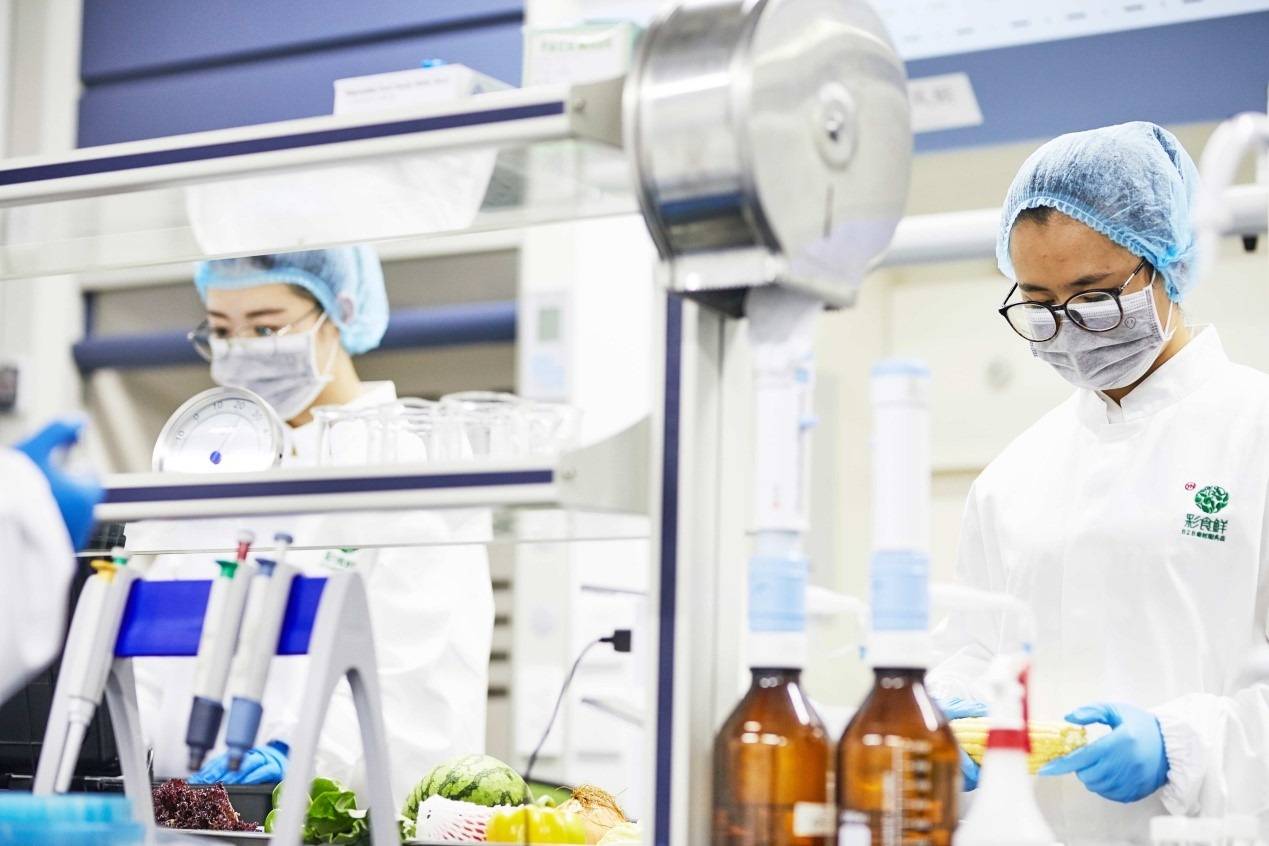 procesamiento de alimentos