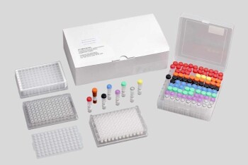 自动液压机:高效样品制备和工业流程终极指南