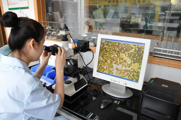 Analytical Laboratories