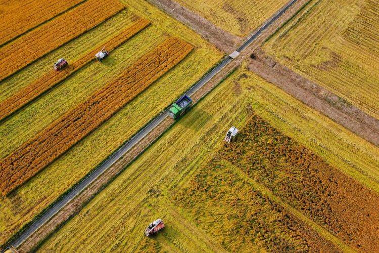 Agriculture