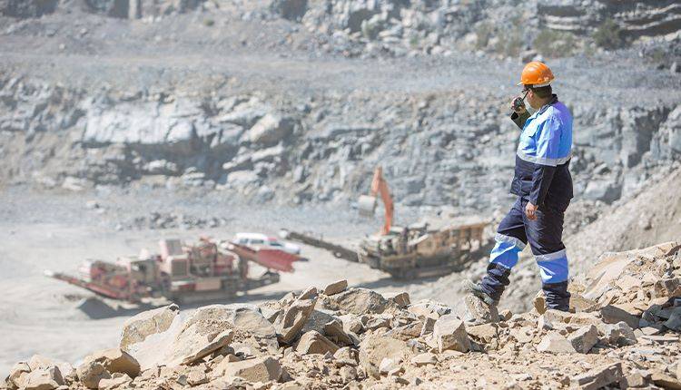 القطاع البيئي