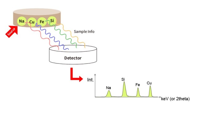 Preparazione del pellet XRF