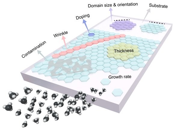 Preparation and Transfer Technology of Graphene by Chemical Vapor Deposition