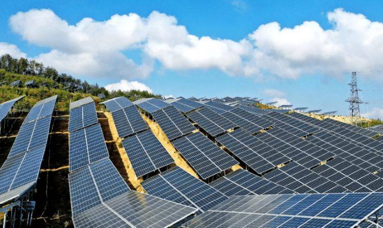 太陽電池セル