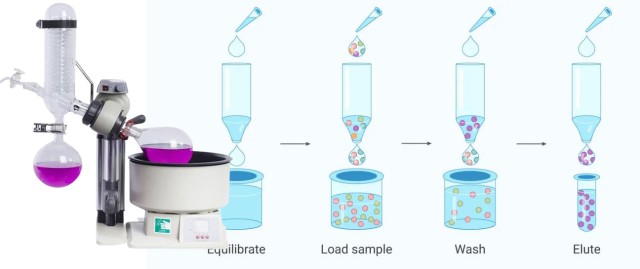 Vantaggi e applicazioni degli evaporatori rotanti