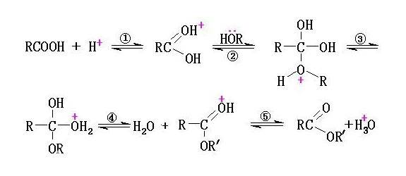 Ester-Konversionsreaktion