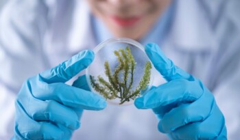 从植物中提取活性成分的技术