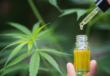 最大限度地提取 THC 和 CBD：旋转蒸发器在大麻蒸馏中的应用