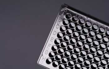 Choosing Microplates for Zymography Assays