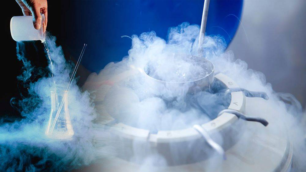 pharmaceutical sector