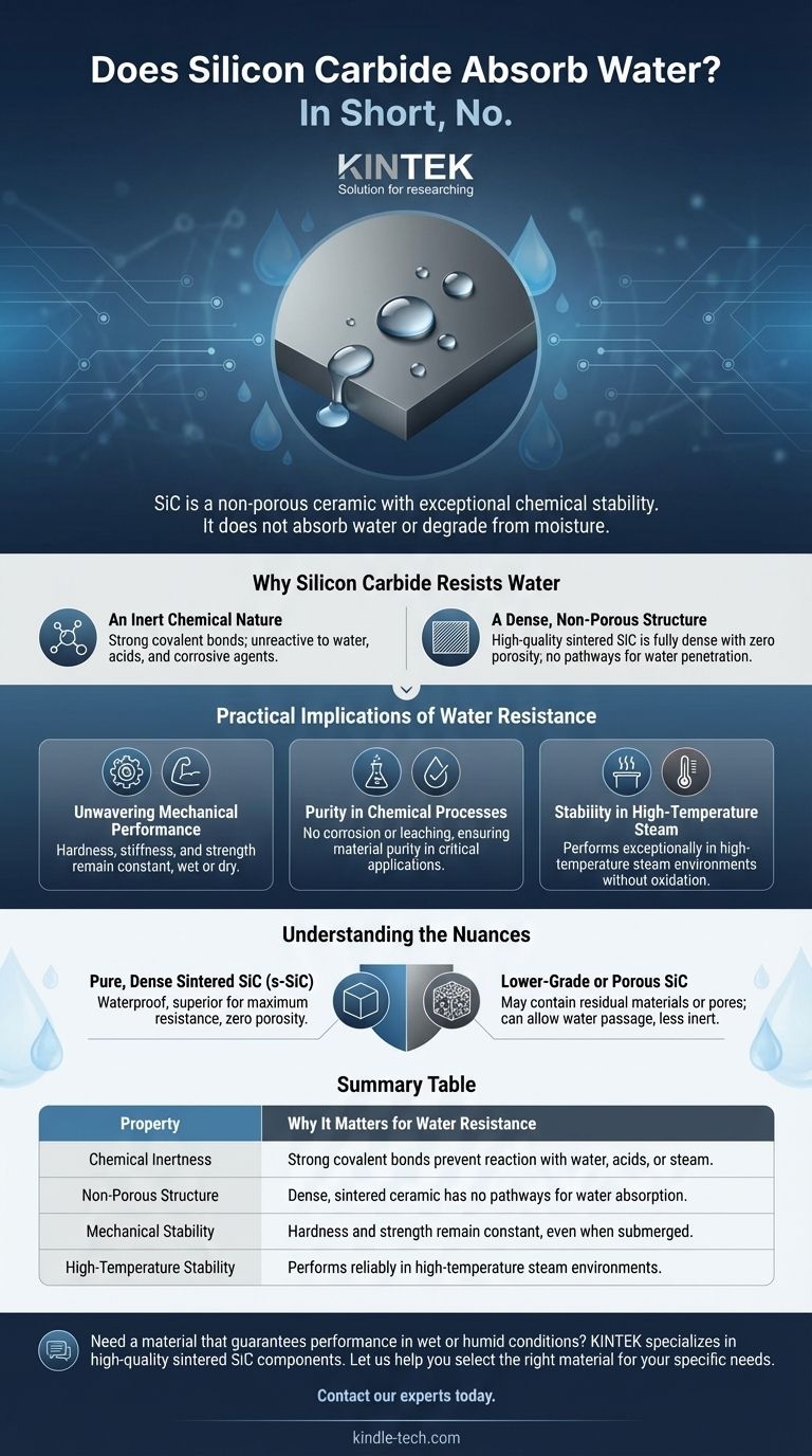 ¿El carburo de silicio absorbe agua? Descubra su resistencia inherente a la humedad para aplicaciones exigentes Guía Visual