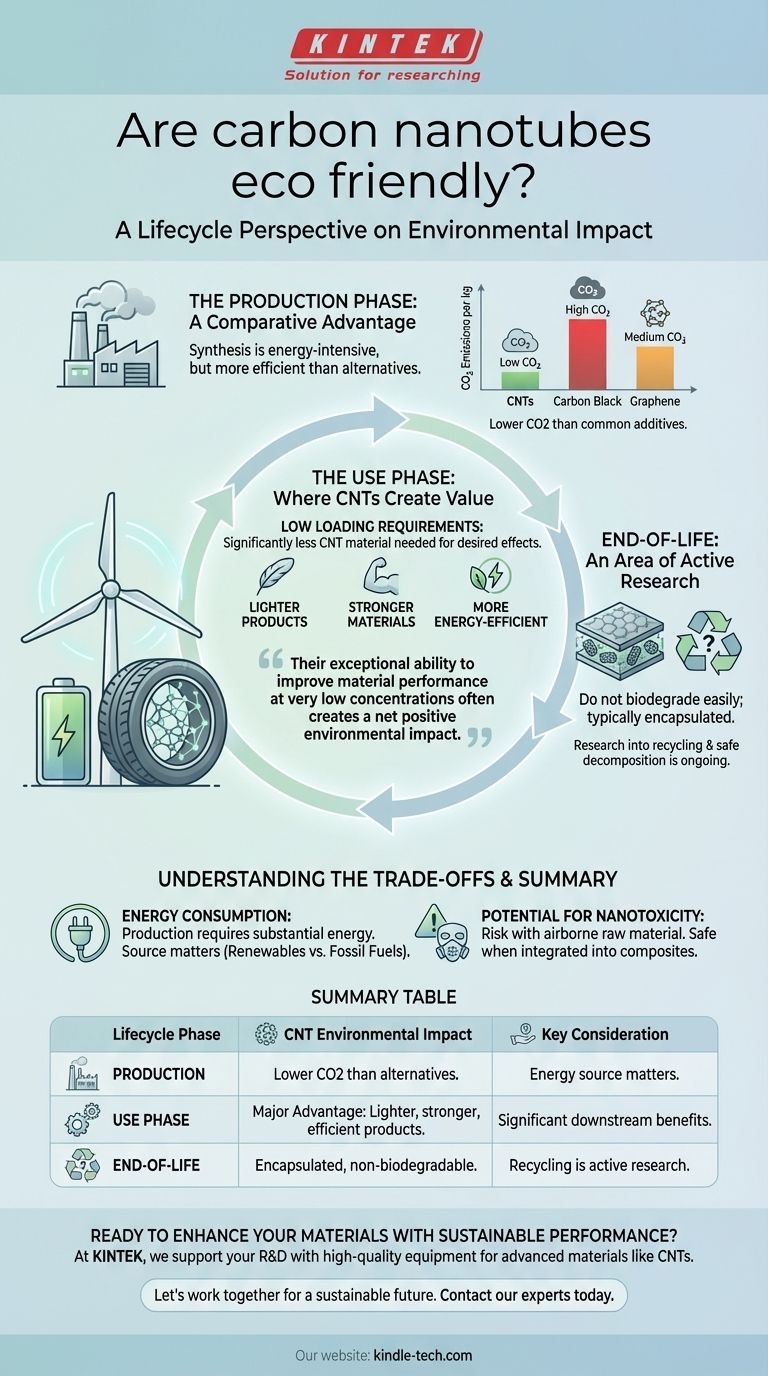 I nanotubi di carbonio sono ecologici? Una visione del loro impatto ambientale lungo il ciclo di vita Guida Visiva