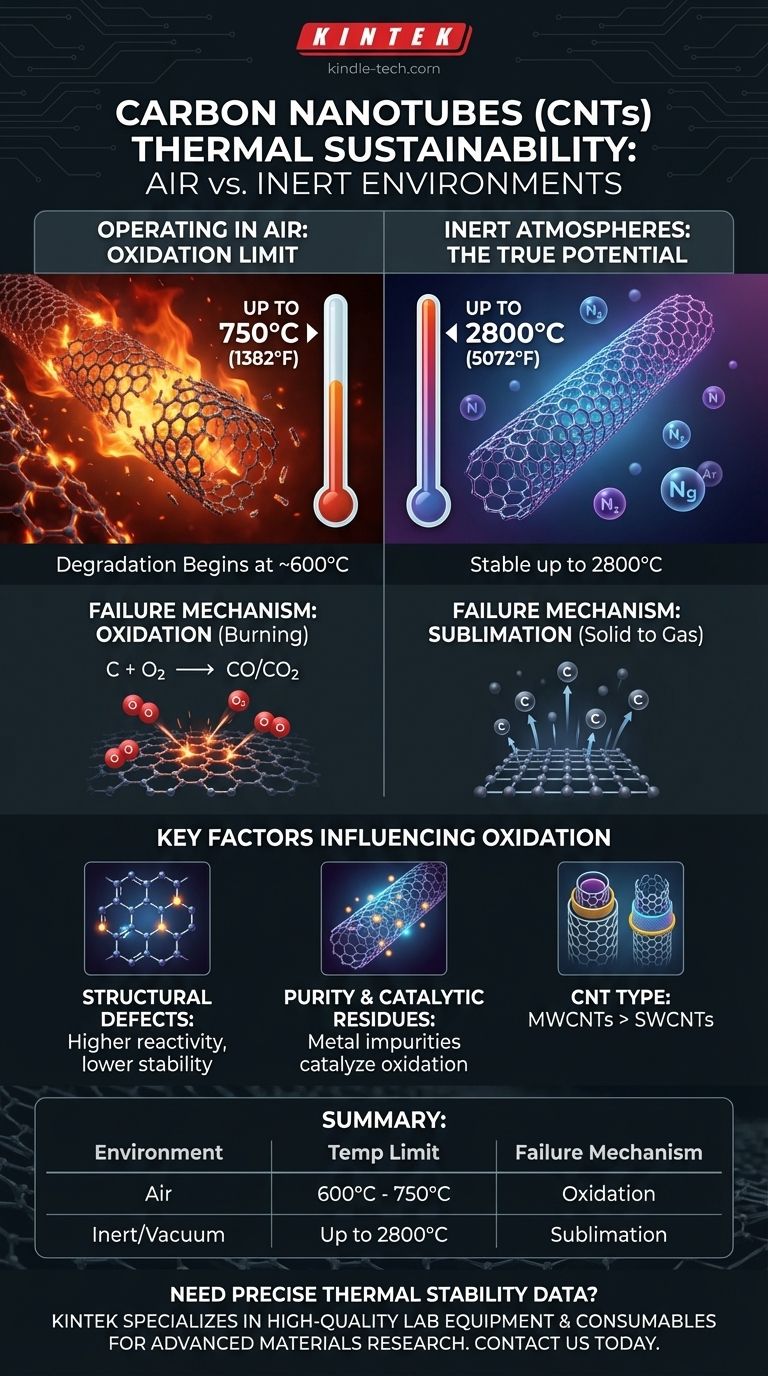 ما هو الحد الأقصى لدرجة الحرارة التي يمكن لأنابيب الكربون النانوية تحملها في الهواء؟ فهم حد الأكسدة دليل مرئي