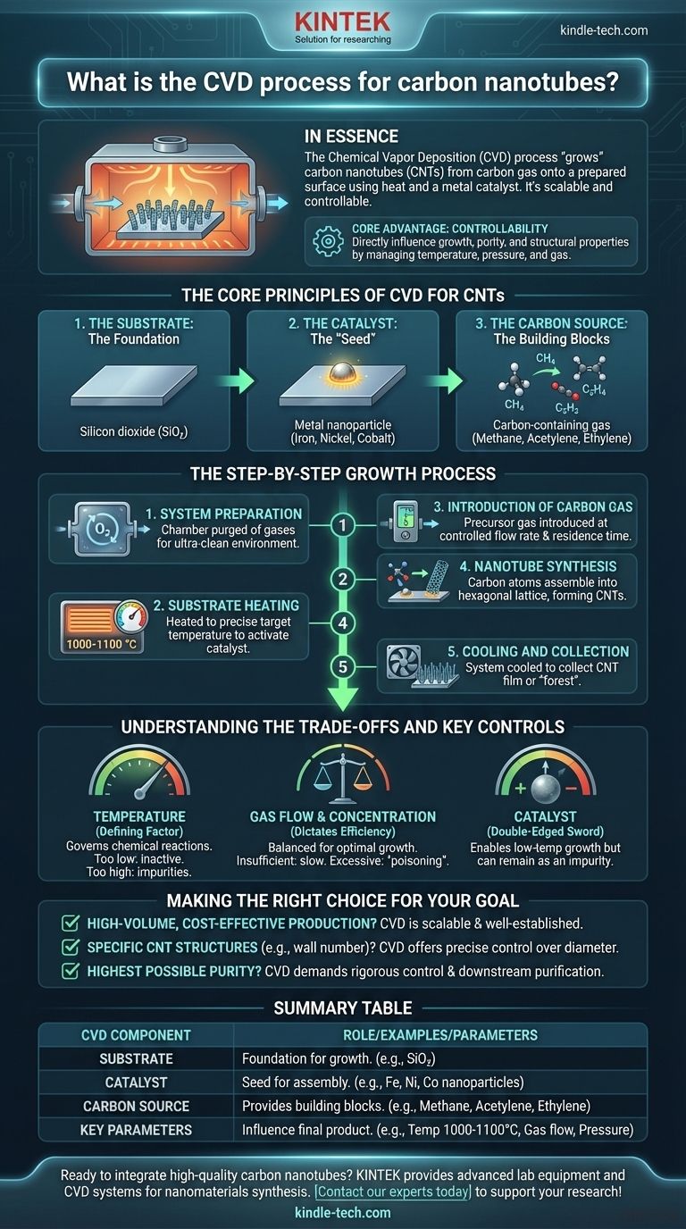 탄소 나노튜브의 CVD 공정은 무엇인가요? 제어된 나노튜브 성장을 위한 확장 가능한 방법 시각적 가이드