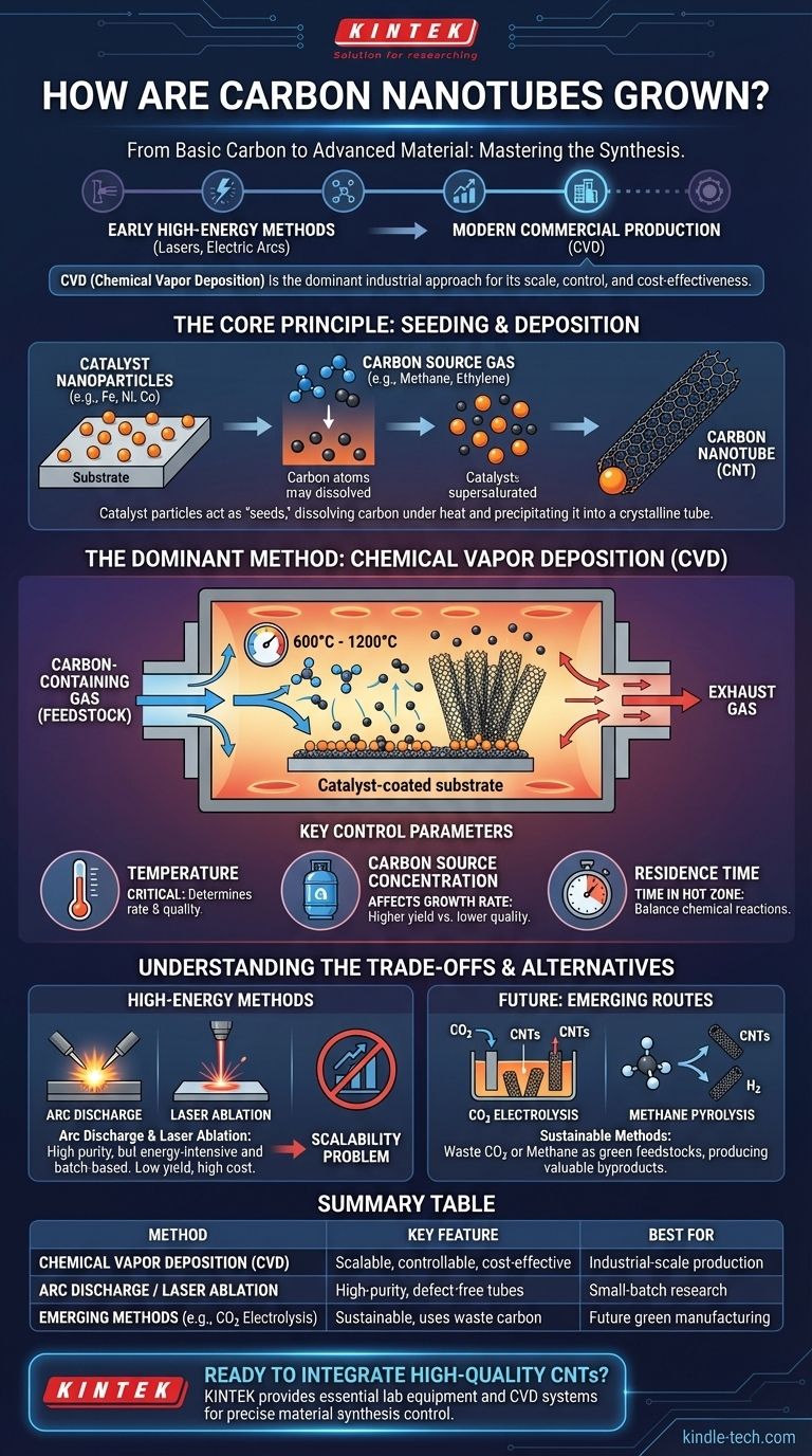 ¿Cómo se cultivan los nanotubos de carbono? Domine la producción escalable con la deposición química de vapor Guía Visual