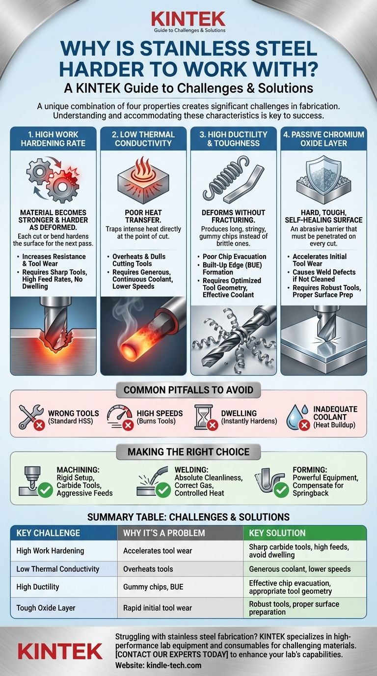 Warum ist Edelstahl schwieriger zu bearbeiten? Meistern Sie seine einzigartigen Eigenschaften für bessere Ergebnisse Visuelle Anleitung