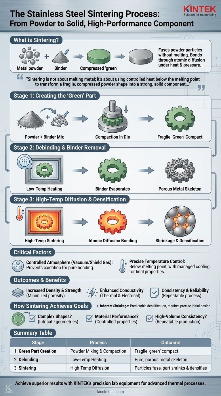 Cos'è il processo di sinterizzazione dell'acciaio inossidabile? Trasformare la polvere in componenti densi e robusti Guida Visiva