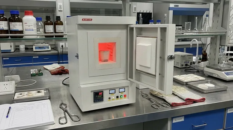 マッフル炉とボックス炉の違いは何ですか?適切なラボ用炉を選ぶためのガイド