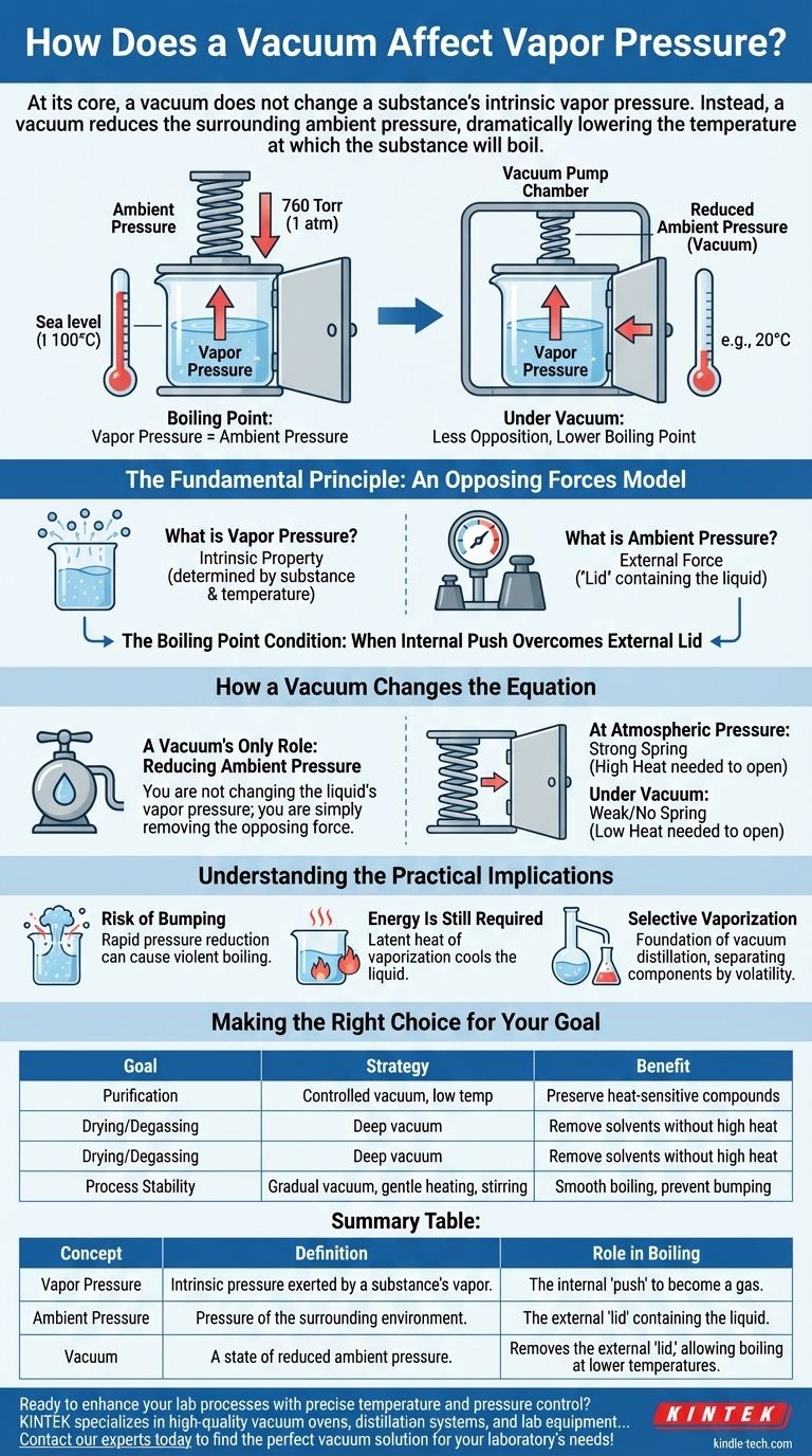 ¿Cómo afecta el vacío a la presión de vapor? Desbloquee el control preciso sobre los puntos de ebullición Guía Visual