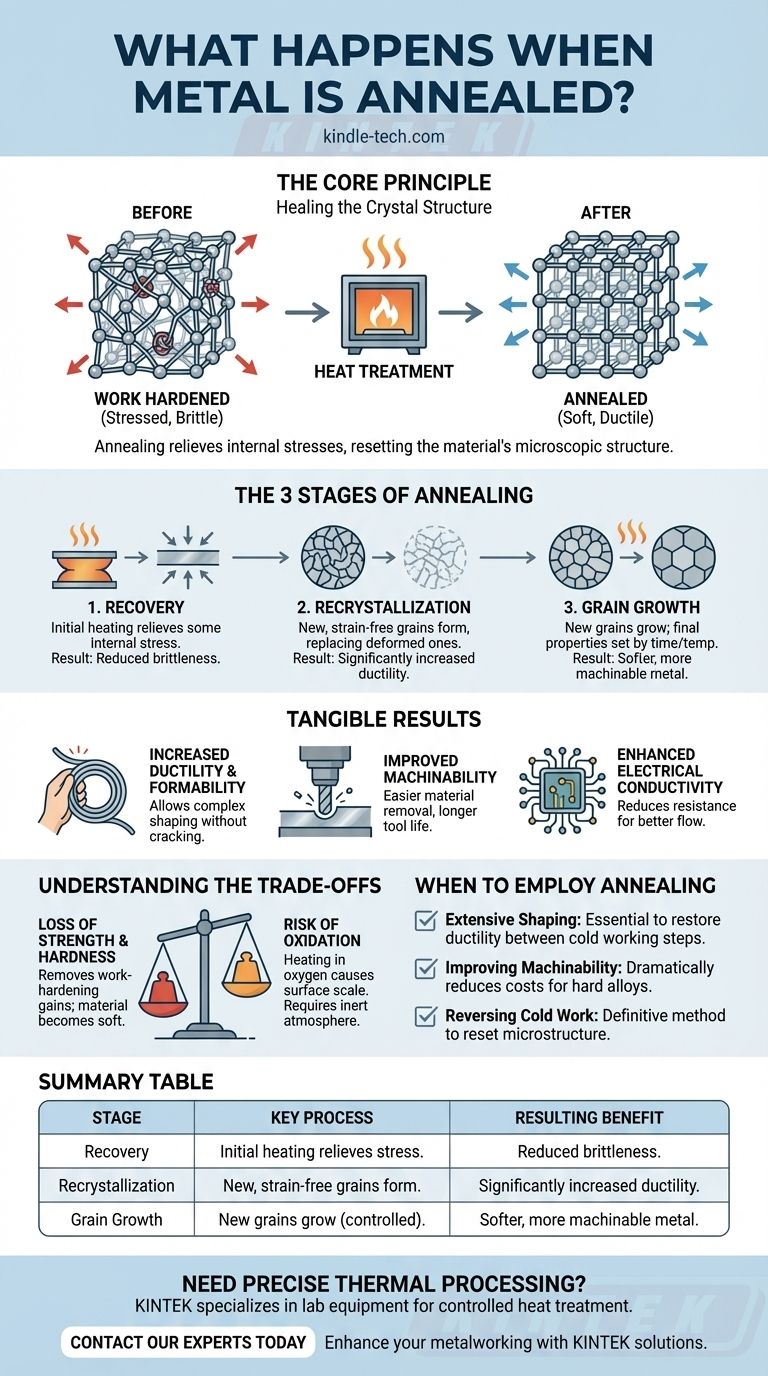 ¿Qué sucede cuando se recoce el metal? Una guía para metales más blandos y maleables Guía Visual