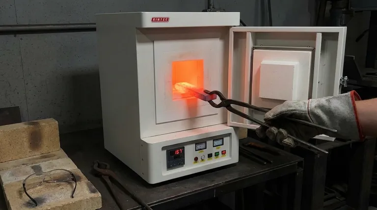 Combien de temps faut-il pour recuire le métal ? De quelques minutes à plusieurs jours pour des résultats parfaits.