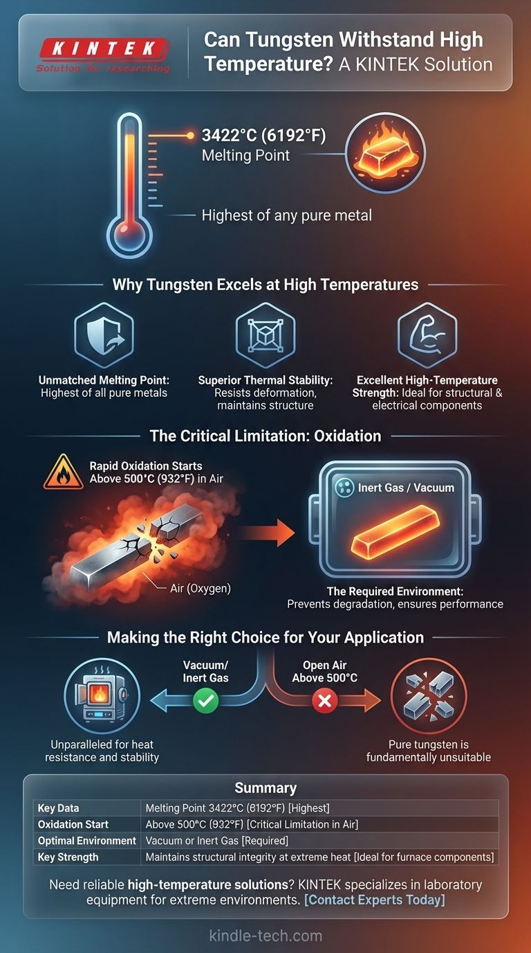 钨能承受高温吗？在极端高温环境中释放其全部潜力 图解指南