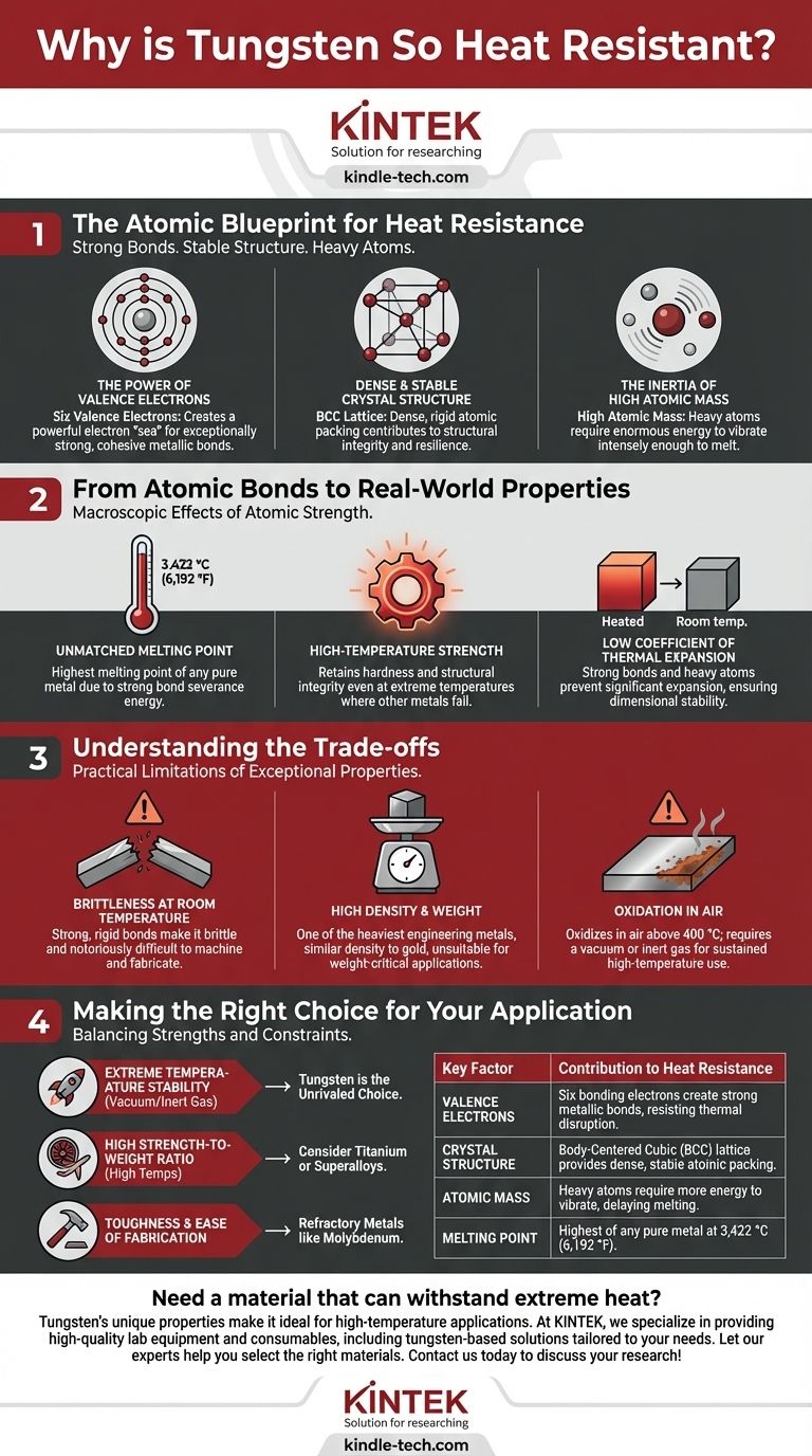 لماذا التنجستن مقاوم للحرارة إلى هذا الحد؟ كشف أسراره الذرية لدرجات الحرارة القصوى دليل مرئي