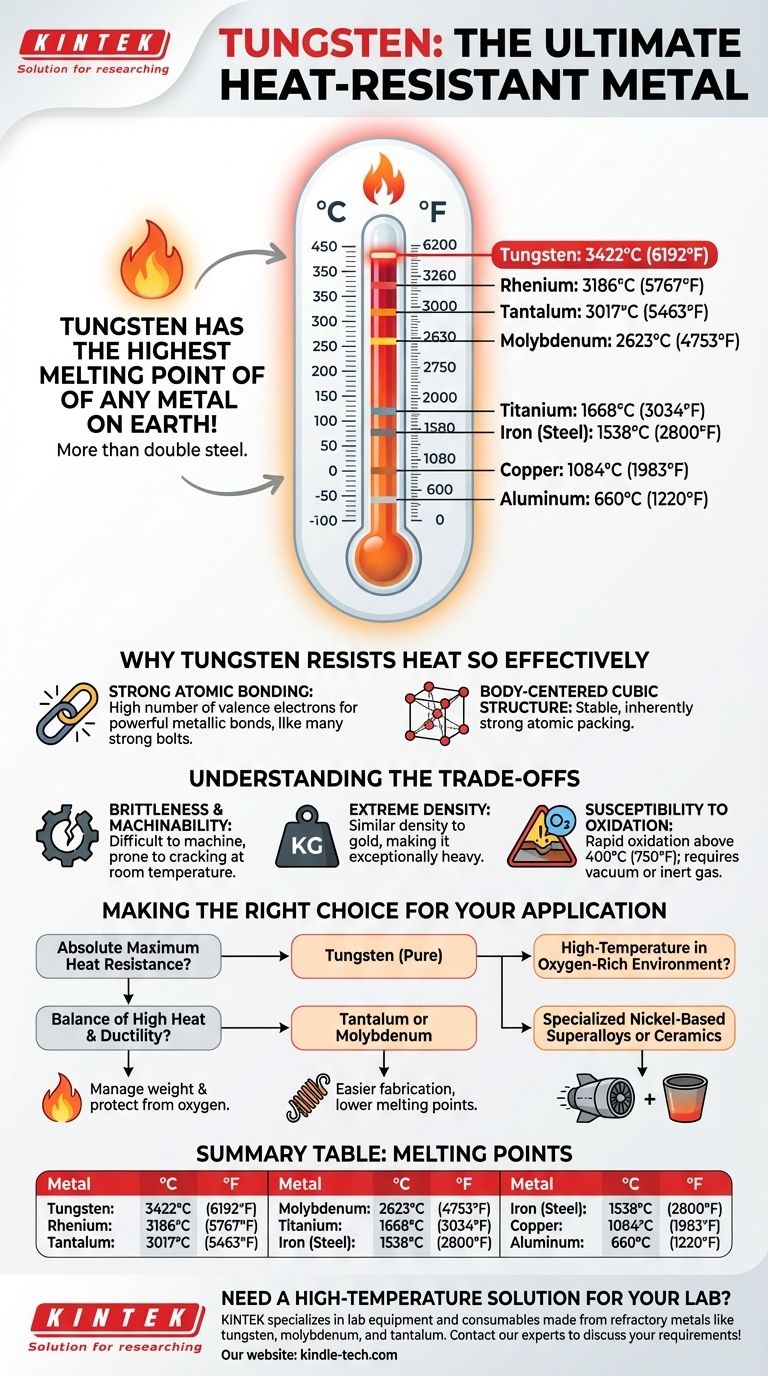 ما هي درجة انصهار التنجستن مقارنة بالمعادن الأخرى؟ اكتشف المعدن النهائي المقاوم للحرارة دليل مرئي