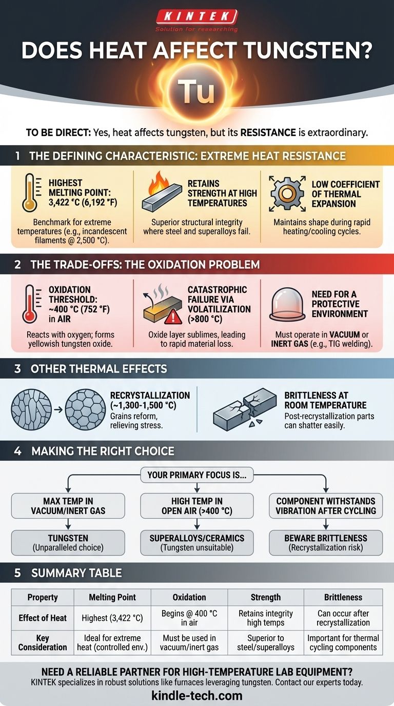 열이 텅스텐에 영향을 미치나요? 가장 높은 녹는점을 가진 금속의 힘 활용하기 시각적 가이드