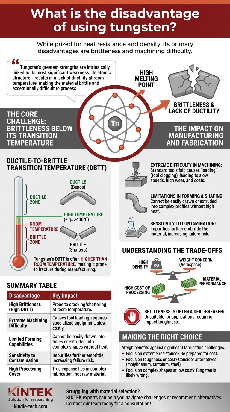 ¿Cuál es la desventaja de usar tungsteno? El alto costo y la dificultad de fabricación Guía Visual