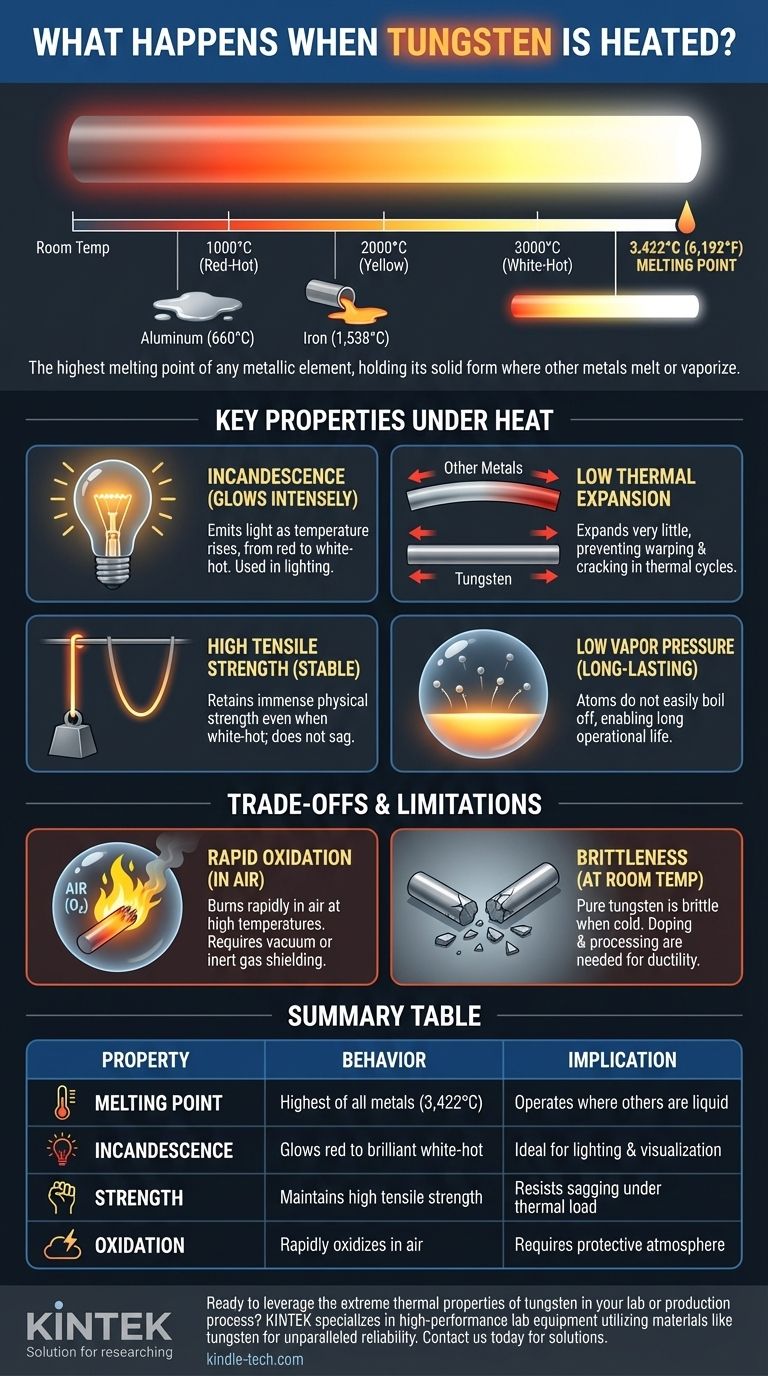 Что происходит, когда вольфрам нагревают? Использование экстремального тепла для требовательных применений Визуальное руководство