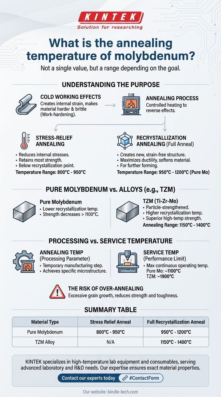 ما هي درجة حرارة التخمير للموليبدينوم؟ قم بتحسين معالجتك الحرارية للموليبدينوم النقي وسبائكه دليل مرئي