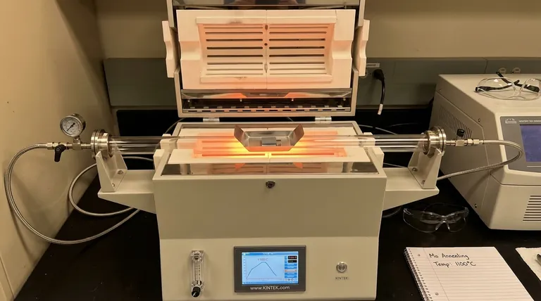 몰리브덴의 어닐링 온도는 얼마입니까? 순수 Mo 및 합금에 대한 열처리 최적화