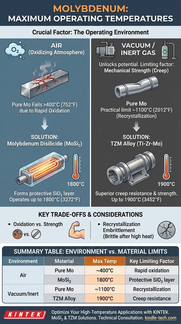 Какова максимальная рабочая температура молибдена? Ключевые факторы для высокотемпературной производительности Визуальное руководство