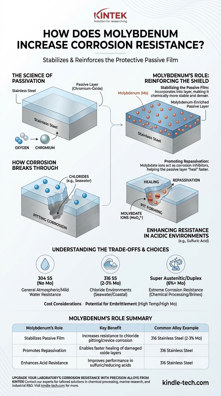 In che modo il molibdeno aumenta la resistenza alla corrosione? Rafforza la durabilità delle leghe contro la vaiolatura e i cloruri Guida Visiva