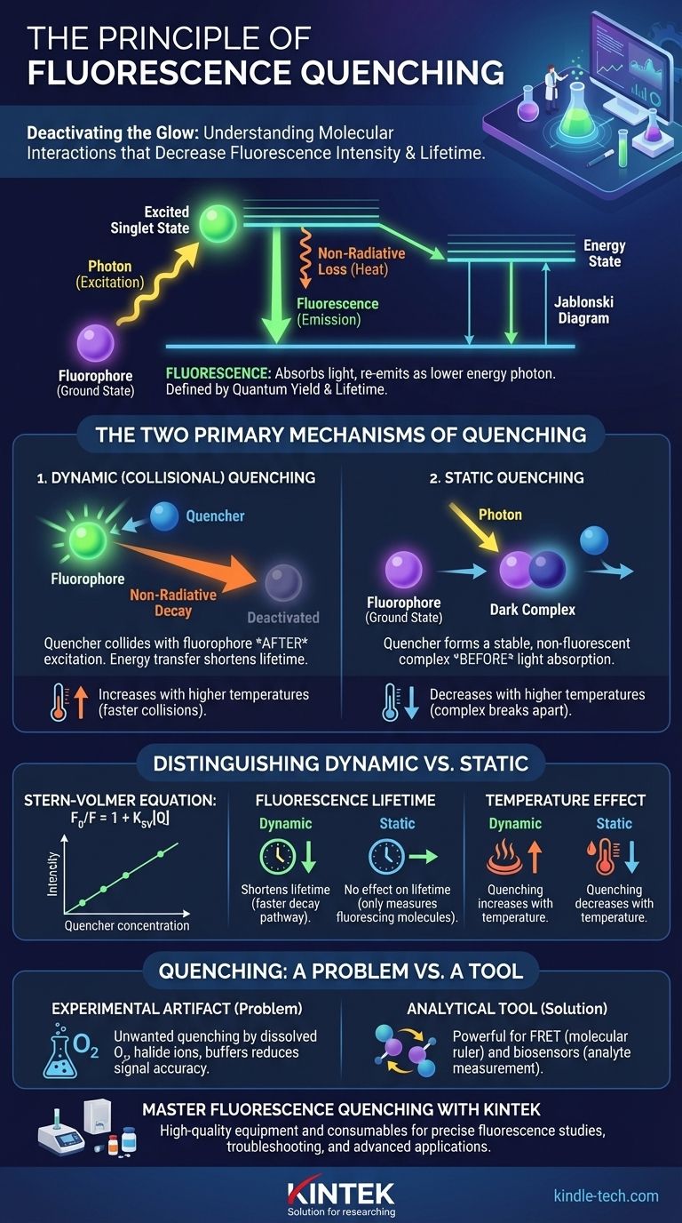 猝灭效应的原理是什么？利用分子相互作用控制荧光 图解指南