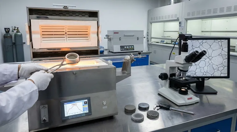 Wie beeinflusst die Sintertemperatur die Härte? Optimierung für maximale Materialfestigkeit