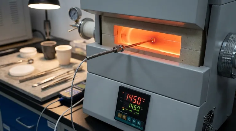 Welche Temperatursensoren werden in Öfen verwendet? Präzise Steuerung mit Typ-S-Thermoelementen erreichen