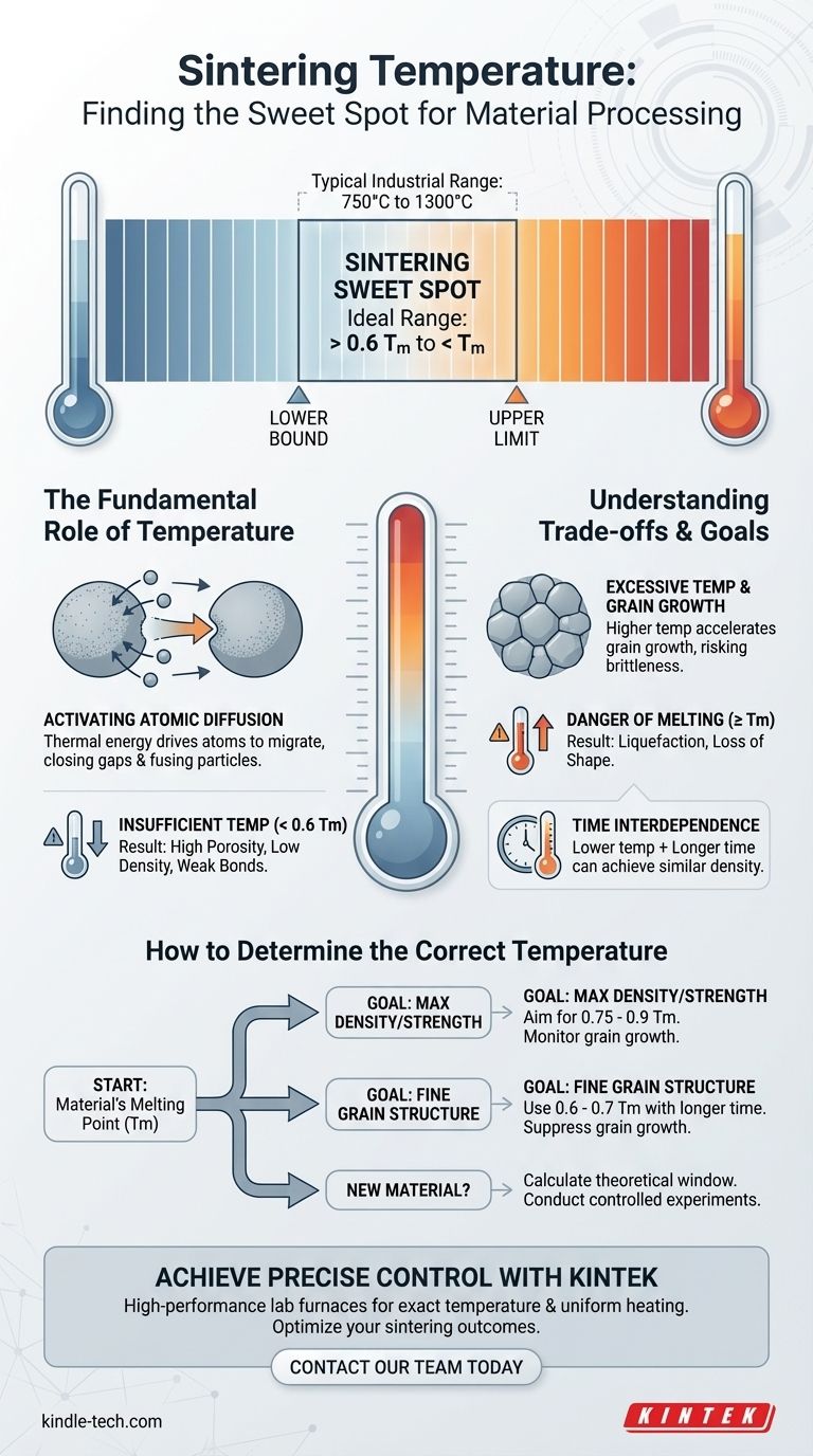 Quelle est la température appropriée pour traiter le matériau lors de l'étape de frittage ? Trouvez le point idéal de frittage Guide Visuel