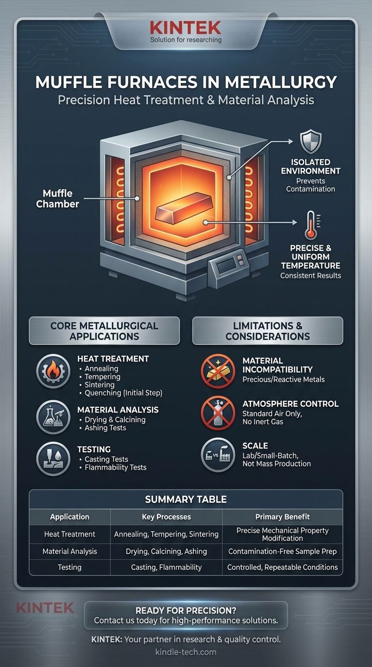 What is a muffle furnace used for metallurgy of? Achieve Precise Heat Treatment & Material Analysis Visual Guide